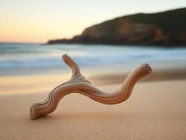 A driftwood branch on the beach at sunset photo