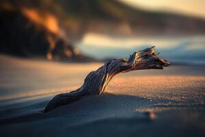 Driftwood rests on sandy beach at sunset photo