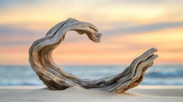 A driftwood heart on the beach at sunset photo