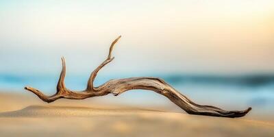 Driftwood resting on sandy beach photo