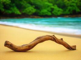 Driftwood on a sandy beach by the ocean photo