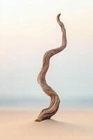 Unique twisted wood sculpture on sandy shore photo