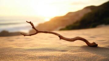 A branch on the beach at sunset photo