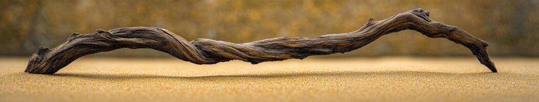A wooden sculpture of a crab on a sandy beach photo