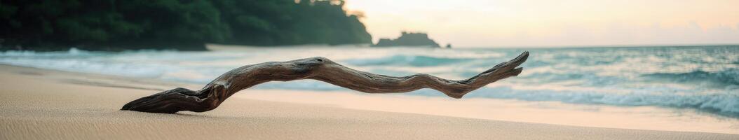 A driftwood log on the beach at sunset photo