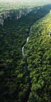 Lush green valley with a winding river photo