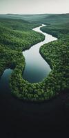 A river flowing through a green forest photo