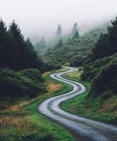 Winding road through misty forest landscape photo