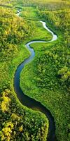 Serene river winding through lush greenery photo