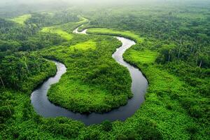Lush green river winding through tropical forest photo