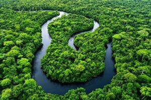 Serene river winding through dense rainforest photo