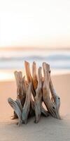 Driftwood forms a natural sculpture on beach photo