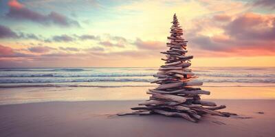 Driftwood tree on beach at sunset photo