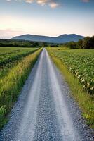 Gravel road through fields near mountains photo