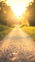 Pathway through golden sunset landscape photo