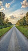 Scenic gravel road through green fields photo