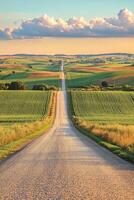 Scenic gravel road through lush green fields photo