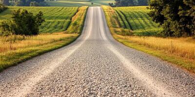 Long gravel road through green fields photo