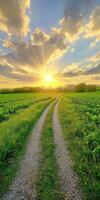 Sunset over the winding dirt path in the countryside photo