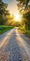 Scenic gravel road at sunrise in nature photo