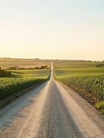 Scenic dirt road through green fields photo