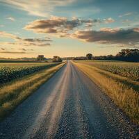 Scenic country road under a cloudy sky photo