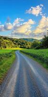 Scenic gravel road through lush countryside photo