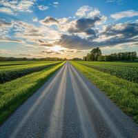 Sunset view along a rural gravel road photo