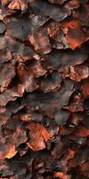 A close up of a tree with a lot of rust photo