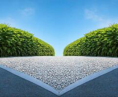 A road with a gravel path and bushes photo