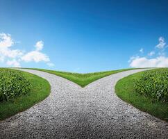 Two roads that are going in opposite directions photo