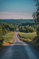 A gravel road in the middle of a field photo