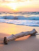A driftwood log on the beach at sunset photo