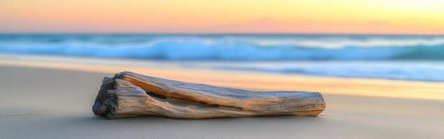 A driftwood log on the beach at sunset photo