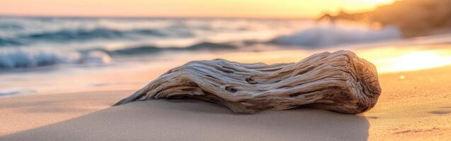 A driftwood log on the beach at sunset photo