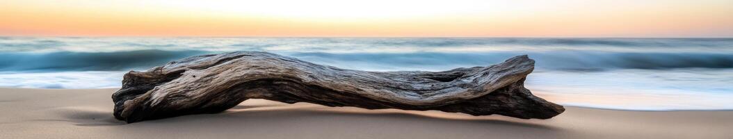 A driftwood log on the beach at sunset photo