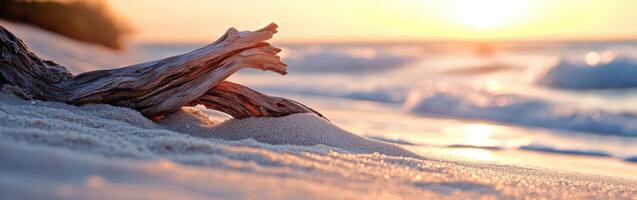 A driftwood log on the beach at sunset photo