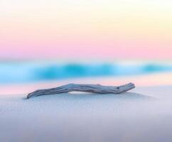 A driftwood log on the beach at sunset photo