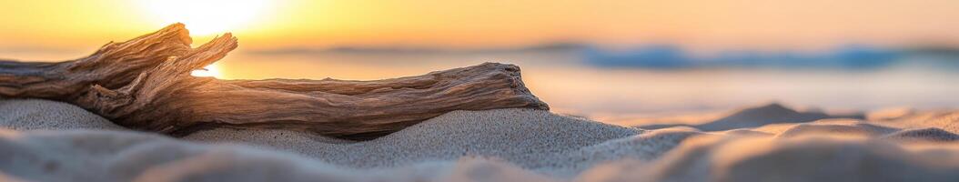 A driftwood log on the beach at sunset photo