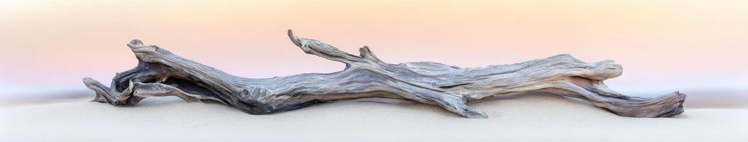 A driftwood sculpture in the sand photo