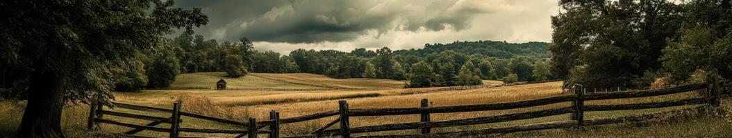 A field with a fence and trees under a stormy sky photo