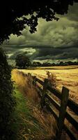 A fence in the field photo
