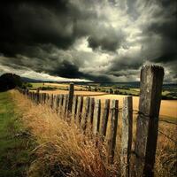 A fence with tall grass and a stormy sky photo