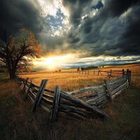 A fence in a field with a tree in the foreground photo