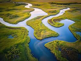 An aerial view of a marshy area with water flowing through it photo