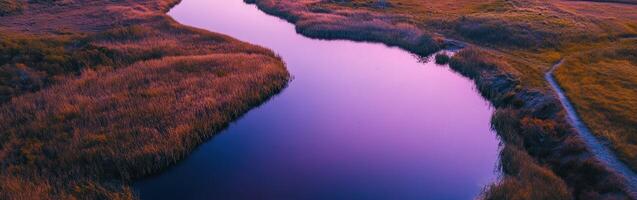 An aerial view of a river flowing through a field photo