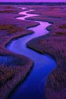 A river runs through a marsh at sunset photo