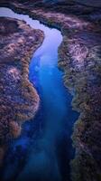 An aerial view of a river flowing through a grassy field photo