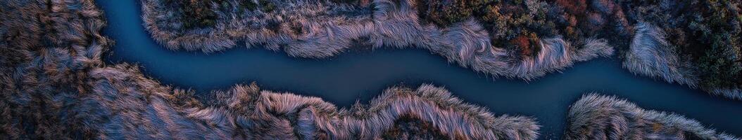 An aerial view of a river flowing through a forest photo