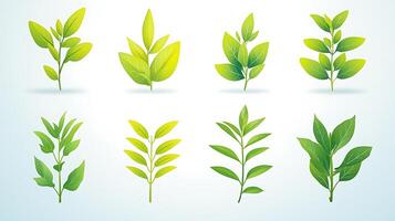 Collection of various green leaf designs showcasing different shapes and sizes on a light background photo